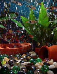 Aquarium Design