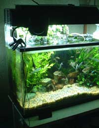 Lighting Illumination Aquarium Fish Tank